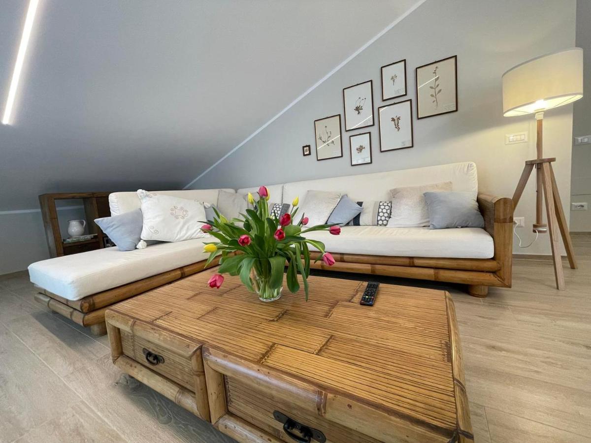 Otium Rooms / Camere E Appartamenti Morrovalle Bagian luar foto